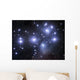 Pleiades Wall Decal