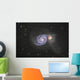 Whirlpool Galaxy Wall Decal