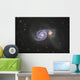 Whirlpool Galaxy Wall Decal