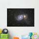 Whirlpool Galaxy Wall Decal