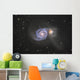 Whirlpool Galaxy Wall Decal