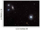 Spiral Galaxies Ngc 1068 Wall Decal
