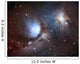 Messier 78 Constellation Wall Decal Design 2