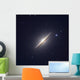 Sombrero Galaxy Wall Decal