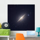 Sombrero Galaxy Wall Decal