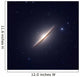 Sombrero Galaxy Wall Decal