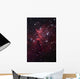 Bright Star Cluster Known Wall Decal