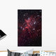 Bright Star Cluster Known Wall Decal