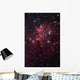 Bright Star Cluster Known Wall Decal