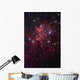 Bright Star Cluster Known Wall Decal