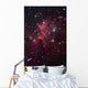 Bright Star Cluster Known Wall Decal