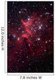 Bright Star Cluster Known Wall Decal