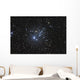 Ngc 457 Is Open Wall Decal