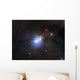 Ngc 1333 Reflection Nebula Wall Decal