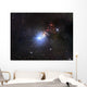 Ngc 1333 Reflection Nebula Wall Decal