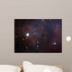 Dust Filled Bright Nebula Wall Decal