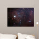 Dust Filled Bright Nebula Wall Decal