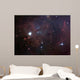 Dust Filled Bright Nebula Wall Decal