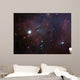 Dust Filled Bright Nebula Wall Decal