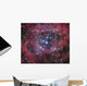 Ngc 2244 Open Cluster Wall Decal