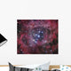 Ngc 2244 Open Cluster Wall Decal