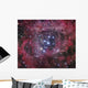 Ngc 2244 Open Cluster Wall Decal
