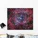 Ngc 2244 Open Cluster Wall Decal