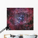 Ngc 2244 Open Cluster Wall Decal