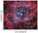 Ngc 2244 Open Cluster Wall Decal