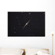 Ngc 4565 Edge-on Unbarred Wall Decal