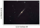 Ngc 4565 Edge-on Unbarred Wall Decal