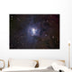 Iris Nebula Wall Decal