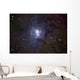 Iris Nebula Wall Decal
