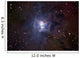 Iris Nebula Wall Decal
