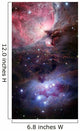 Sword Orion Wall Decal