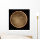 Sun Hydrogen Alpha Wall Decal