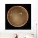 Sun Hydrogen Alpha Wall Decal
