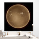 Sun Hydrogen Alpha Wall Decal