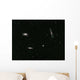Leo Triplet Wall Decal