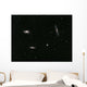 Leo Triplet Wall Decal