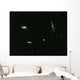 Leo Triplet Wall Decal