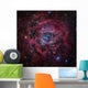 Rosette Nebula Wall Decal