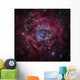 Rosette Nebula Wall Decal