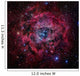 Rosette Nebula Wall Decal