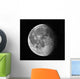 Waning Moon Wall Decal
