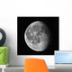 Waning Moon Wall Decal
