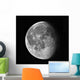 Waning Moon Wall Decal