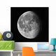 Waning Moon Wall Decal