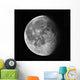 Waning Moon Wall Decal