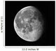 Waning Moon Wall Decal
